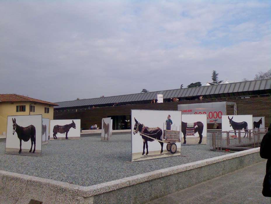 bild015.jpg