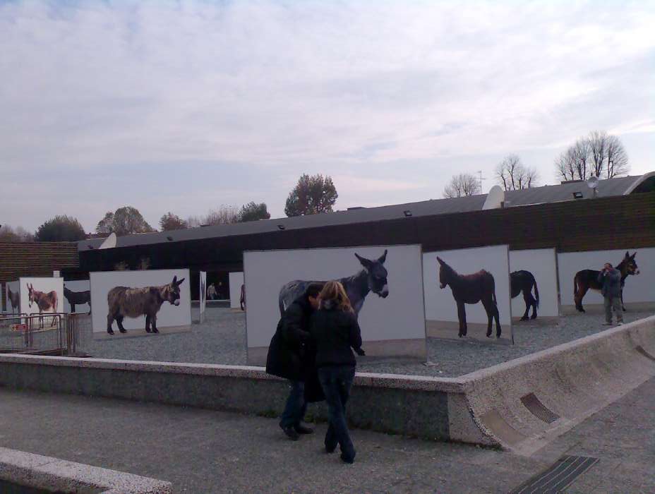 bild016.jpg