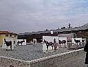bild015.jpg