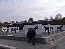 bild016.jpg